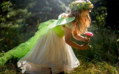 Fairies & Elves Enchanted Adventure